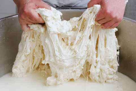 Vico Equense: Cheese-Making Class with Tasting