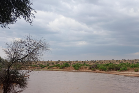 "Lake Naivasha Day Trip & Scenic Boat Ride Adventure"