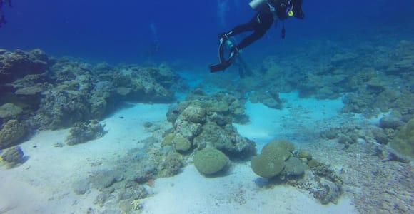 Alanya: 2 Guided Scuba Dives with Lunch and Hotel Transfers