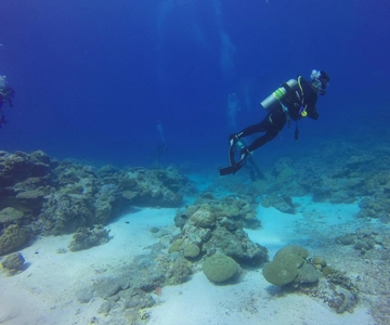 Alanya: 2 Guided Scuba Dives with Lunch and Hotel Transfers