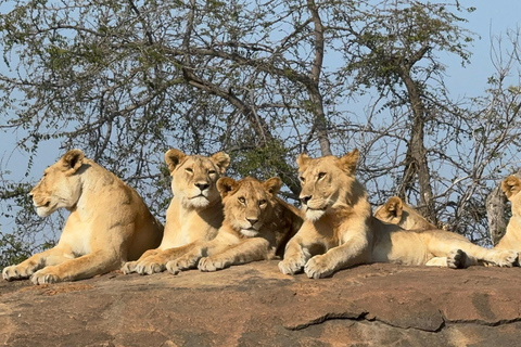 Day Safari to Ngorongoro Crater Wonders