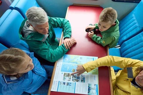 Seward: Resurrection Bay Half-Day Sightseeing Cruise