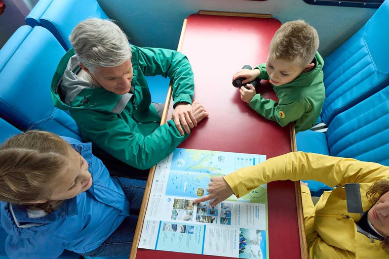 Seward: Resurrection Bay Half-Day Sightseeing Cruise