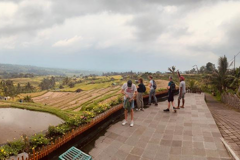 Bali: Prywatna wycieczka do Jatiluwih, Ulun Danu i Tanah LotWycieczka All Inclusive