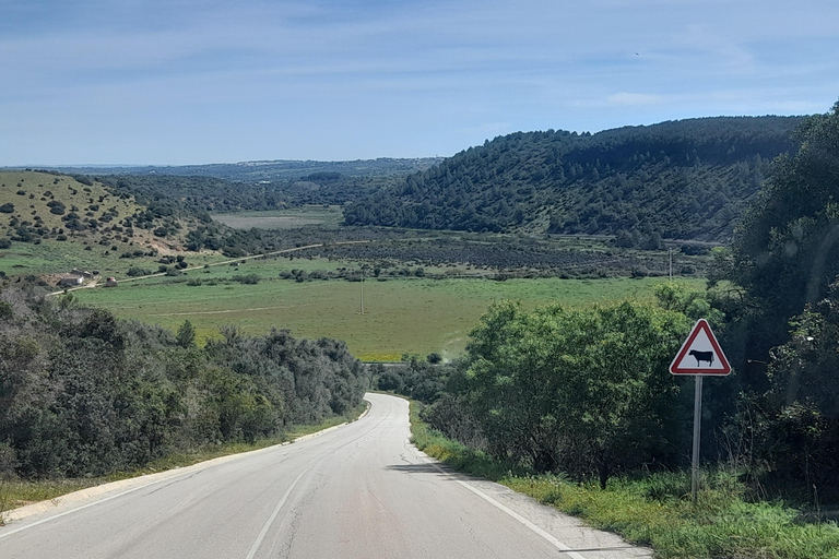 Descubre Los Pueblos Pintorescos del Algarve OccidentalDéjate deslumbrar por los pueblos pintorescos del Algarve Occidental 4 P