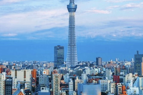 Tokyo: Private Tokyo City Day Tour Low Price Guaranteed