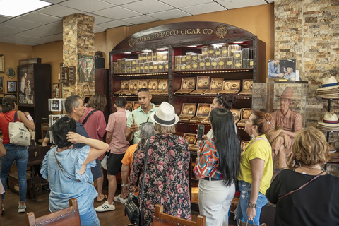 Miami: South Beach, Wynwood, and Little Havana Tour