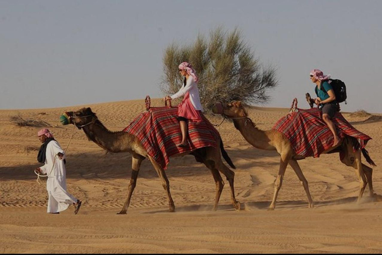 الدوحة: رحلة نصف يوم في الصحراء، وركوب الجمال، ودراجات رباعيةالدوحة: سفاري الصحراء وركوب الجمال ود