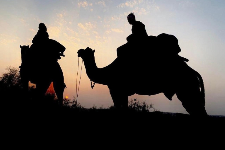 Z Jodhpur: Safari na wielbłądach, kolacja w formie bufetu + taniec ludowy