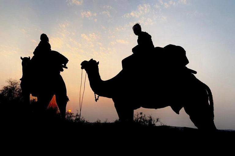 Von Jodhpur Kamelsafari und Übernachtung in der Wüste