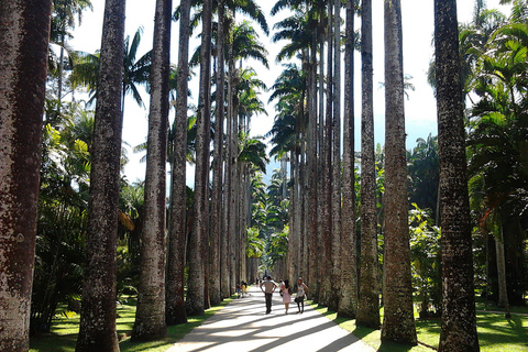 Visite guidée du jardin botanique et du parc Lage au cœur de Rio