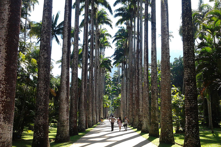 Guidad tur Botaniska trädgården &amp; Lage Park i hjärtat av Rio