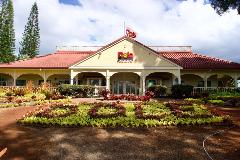 Oahu: Wycieczka prywatna Waikiki - Pełny krąg wysp - Możliwość dostosowania