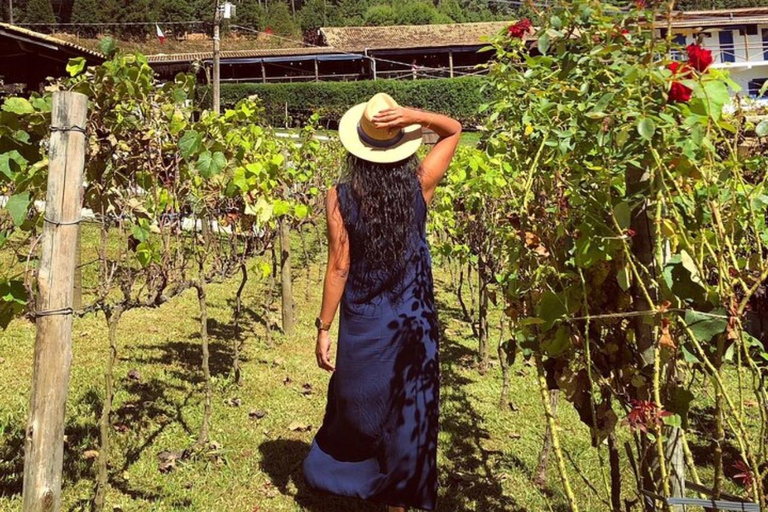 Sao Roque: Private Wine Tour with Breakfast and Lunch