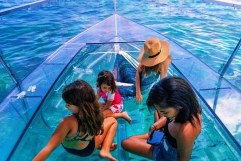 Zakynthos: Glass Boat Swimming Tour with Turtle Spotting Zakynthos: Private Clear Boat Tour with Turtle Spotting