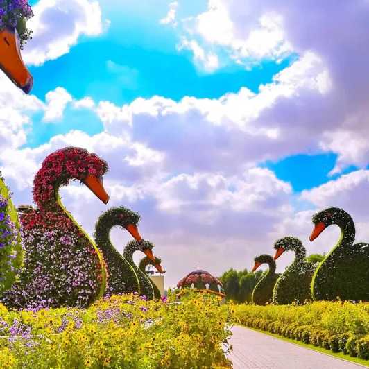 Dubai Global Village Miracle Garden Mit Hoteltransfers Getyourguide