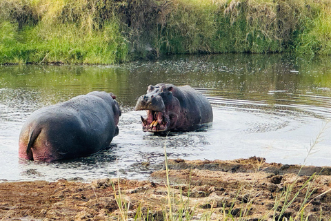 12 Days Tanzania Adventure: Safari, Culture &amp; Mountains