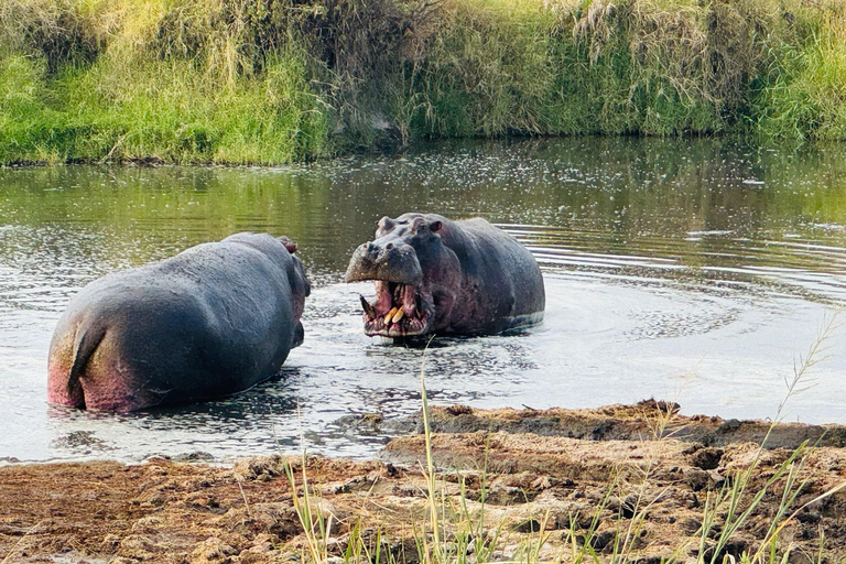 12 Days Tanzania Adventure: Safari, Culture &amp; Mountains