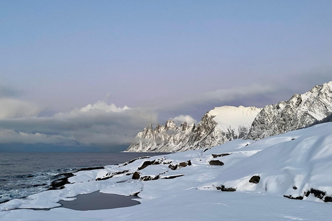 From Tromsø: Discover Senja Island with Local Guide From Tromsø: Privately Discover Senja with Local Guide