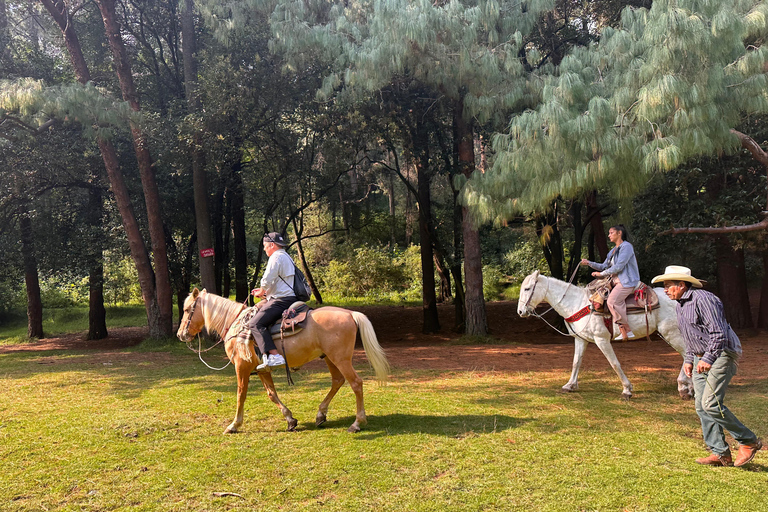 LA MEILLEURE ÉQUITATION AVEC DES COW-BOYS PROFESSIONNELS