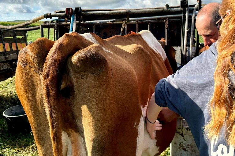 Isla Terceira: Experiencia en la Ruta de la Leche y el Queso