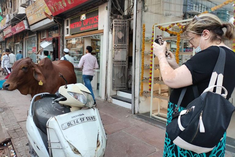 Delhi: tour de diseñadores y talleres ocultosDelhi: tour de moda y talleres ocultos