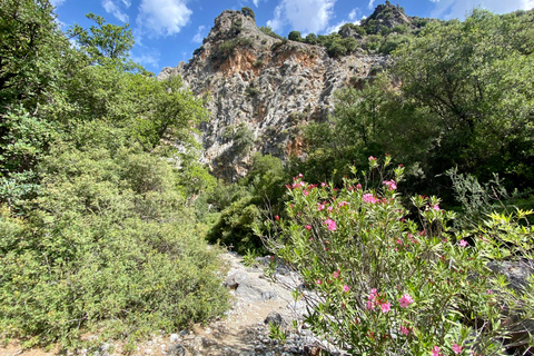 Creta: Tour guiado de senderismo por el Cañón de Kritsa