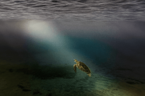 Full day tour: the best of the island w/photos drone sunset Full day tour: the best of the island w/photos drone sunset