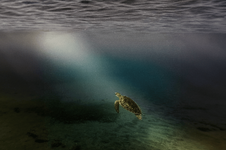 Full day tour: the best of the island w/photos drone sunset Full day tour: the best of the island w/photos drone sunset