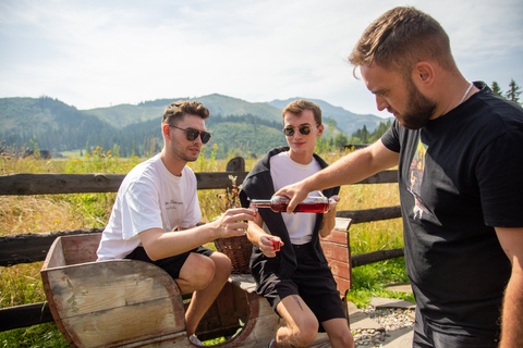 Cracovia: Tour di Zakopane con guida privata e trasportoSenza sorgenti termali