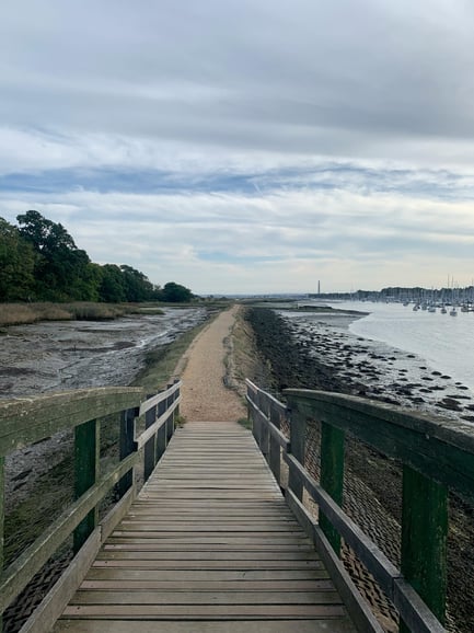 Southampton Cruise Port Transfer to London with Tour