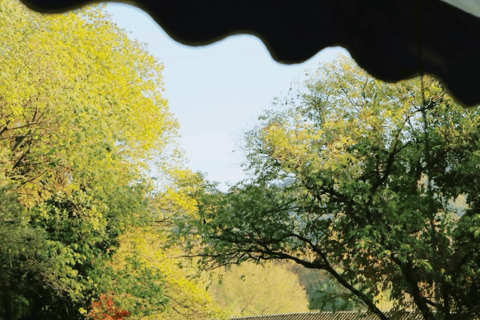 Enjoy Hangzhou Like Lords: West Lake’s Boat, Tea, Painting