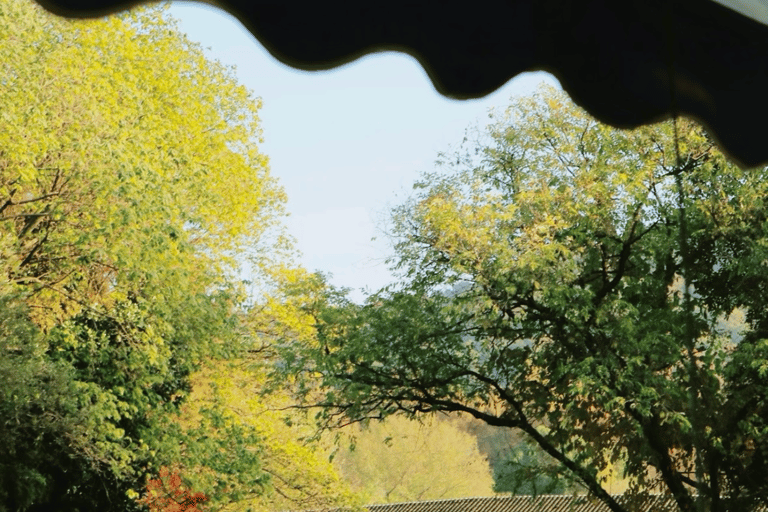 Enjoy Hangzhou Like Lords: West Lake’s Boat, Tea, Painting