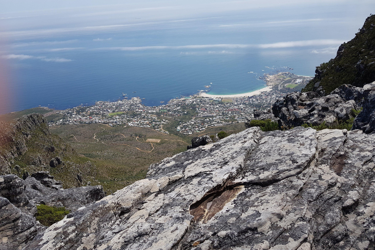 Cape Town: the Mountain, the Garden and the Vineyard