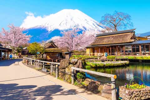 Tokyo : Mont Fuji, village de Saiko, lac Kawaguchi et Oshino Hakkai