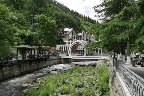 From Tbilisi: Vardzia, Rabati and Borjomi Tour From Tbilisi: Vardzia, Rabati and Borjomi Tour