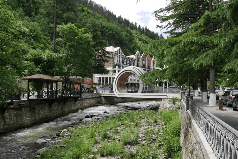 Från Tbilisi: Rundtur i Vardzia, Rabati och Borjomi