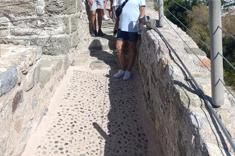 Excursão a pé a Halicarnasos e ao Castelo de São Pedro de Bodrum