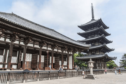 Kyoto & Nara: Fushimi Inari, Arashiyama & Sacred Deer Nara: UNESCO Ancient Capital, Great Buddha & Sacred Deer