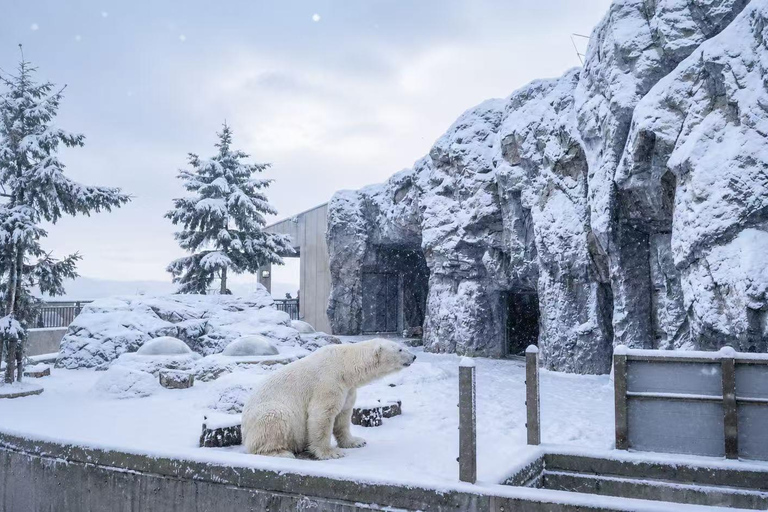 Late Departure: Asahiyama Zoo & Blue Pond & Ningle Terrace