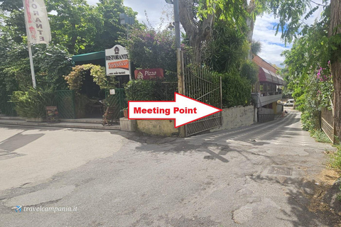 Pompeii: Tour with Archaeologist Guide & Skip-the-Line Entry Pompeii: Tour with Archaeologist Guide & Skip-the-Line Entry