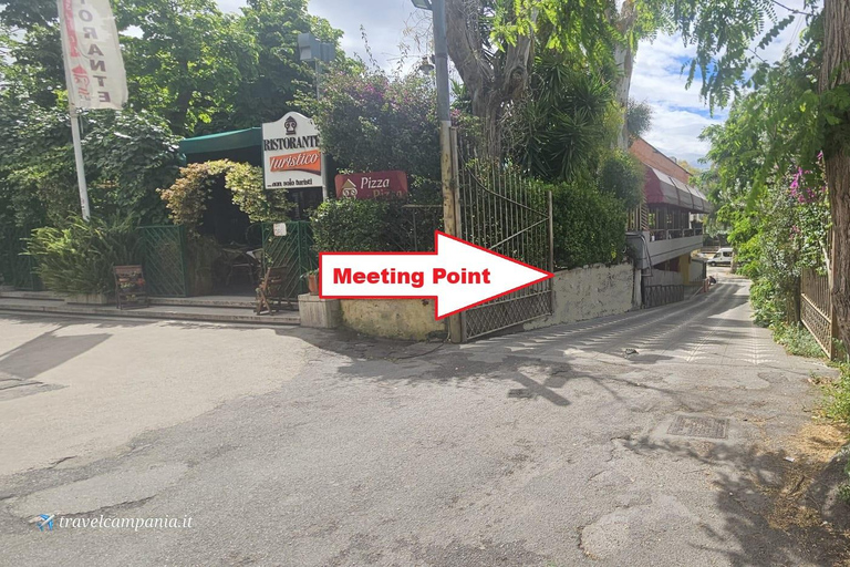 Pompeii: Tour with Archaeologist Guide & Skip-the-Line Entry Pompeii: Tour with Archaeologist Guide & Skip-the-Line Entry