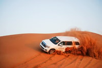 Dubai, Red Dune Safari, Camel Ride, Sandboarding, and Dinner - Housity