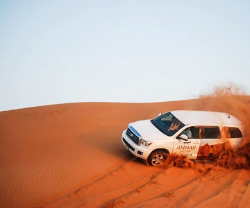 Dubai: Red Dune Safari, Camel Ride, Sandboarding, and Dinner
