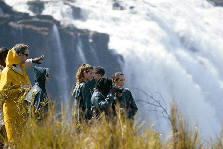 Victoria Falls: Guided Orientation Walk and Photo Tour