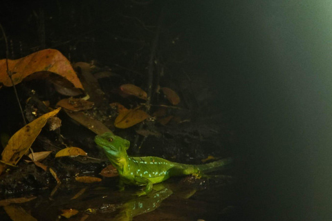 3-hour experience through the channels of the National Park.