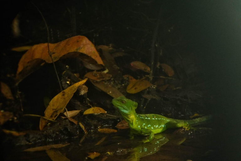 3-hour experience through the channels of the National Park.