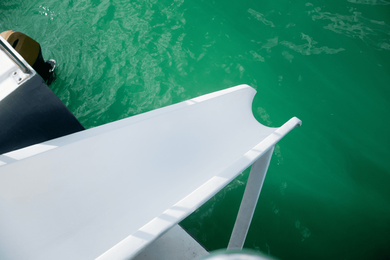 Punta Cana : croisière privée en catamaran avec plongée et barExcursion privée en catamaran à Punta Cana avec plongée et bar