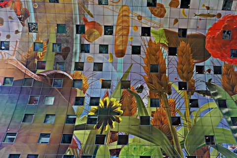 Ámsterdam: excursión de un día a Róterdam con guía local