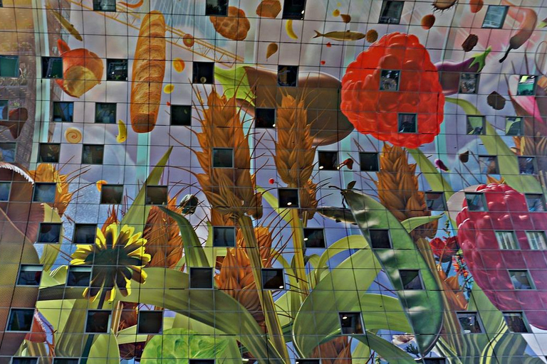 Ámsterdam: excursión de un día a Róterdam con guía local